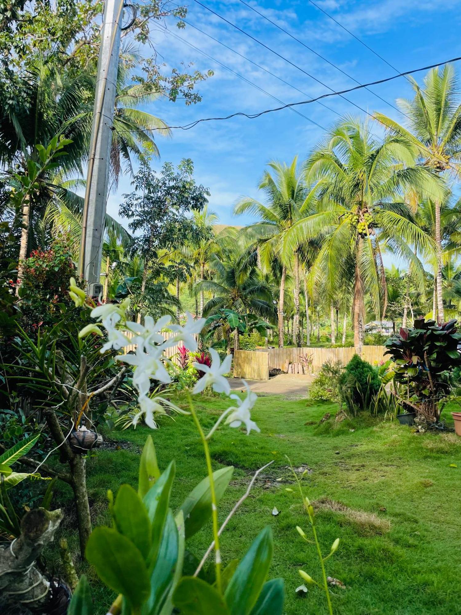 Casa Aguelo Carmen (Bohol) Exterior foto